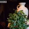 CRW_3812.jpg